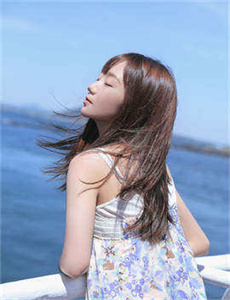 笨蛋、测验、召唤兽